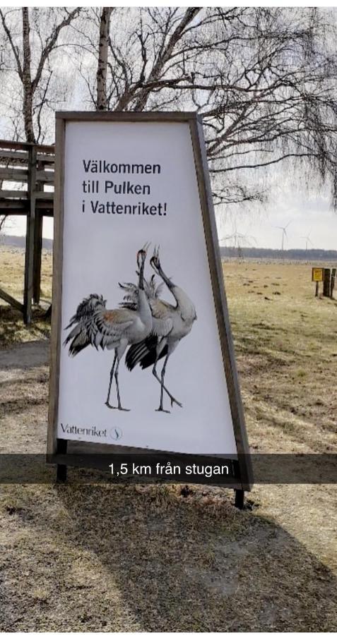 Villa Sus & Dus Yngsjö Kültér fotó